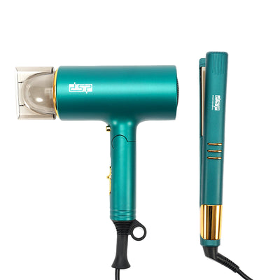 DSP Hair Dryer And Straightener 80103A