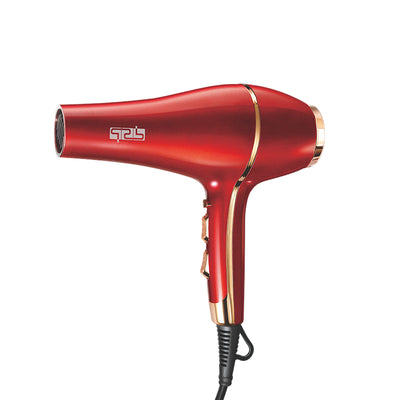 DSP Hair Dryer 30215