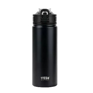 Tyeso  600ml Stainless Steel Thermos Tumbler TS-8770C