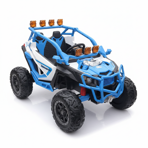 Buggy Front Angle