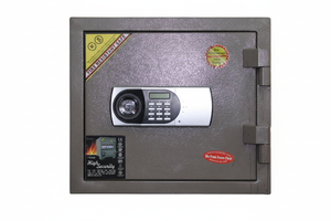 Optimized Lighting Small Brown Safe Image