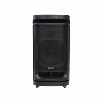 Portable Speaker Straight Front